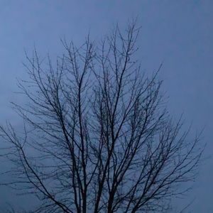 Meet your Posher, Norma